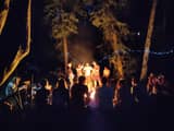 Campfire bois