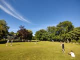 Rounders