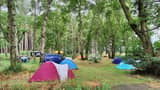 Tents