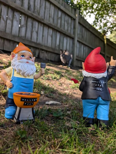 Gnomes